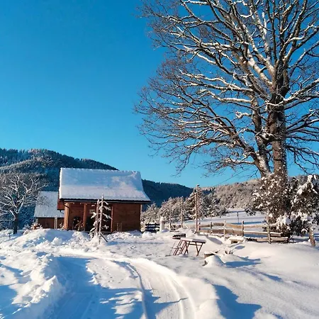 Brvnara Lina-marija - Zlatibor Sainovina