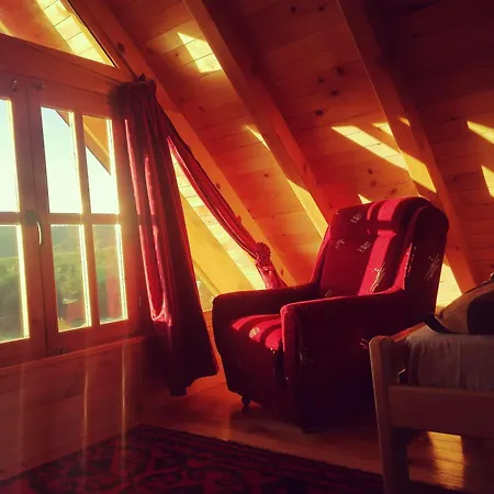 Brvnara Lina-marija - Zlatibor Vakantiehuis *