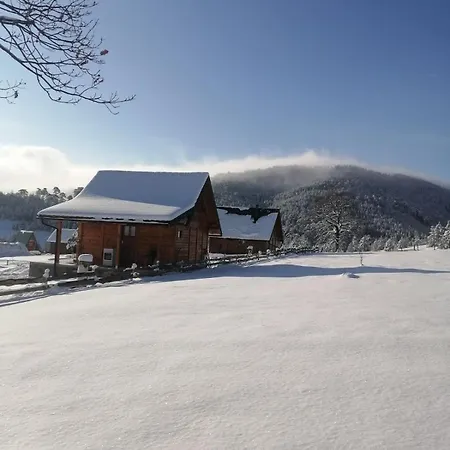 Brvnara Lina-marija - Zlatibor * Sainovina