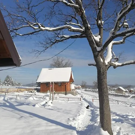 Brvnara Lina-marija - Zlatibor Vakantiehuis *