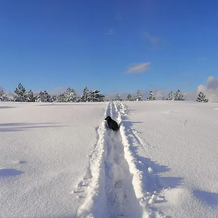 Brvnara Lina-marija - Zlatibor Sainovina
