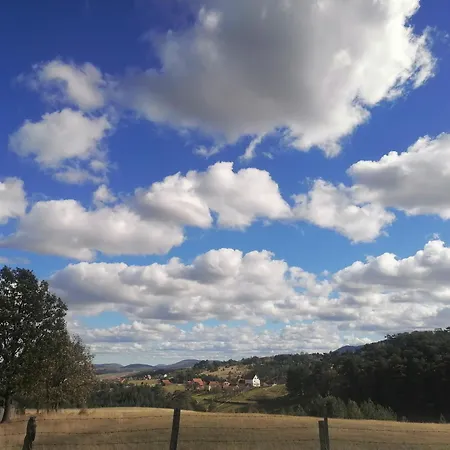 Vakantiehuis Brvnara Lina-marija - Zlatibor