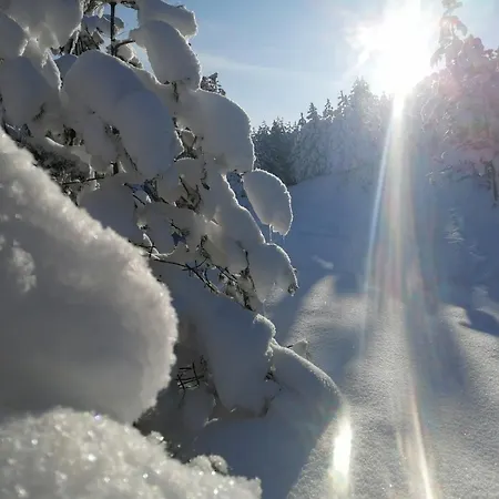 Brvnara Lina-marija - Zlatibor