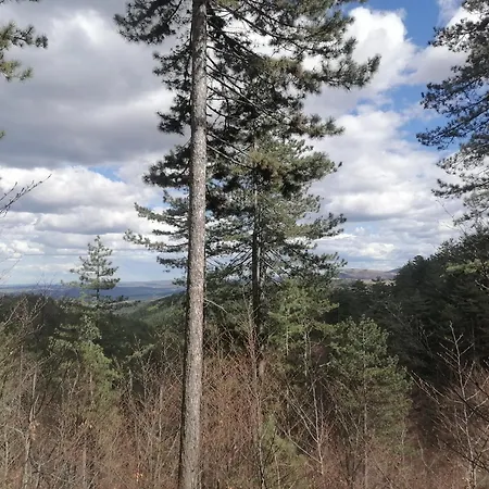 Vakantiehuis Brvnara Lina-marija - Zlatibor Sainovina