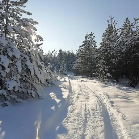 Vakantiehuis Brvnara Lina-marija - Zlatibor Sainovina