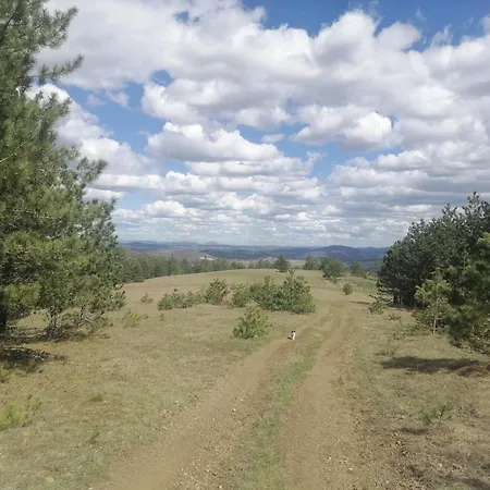 Brvnara Lina-marija - Zlatibor Sainovina