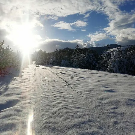 Brvnara Lina-marija - Zlatibor Semesterbostad Sainovina