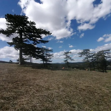 Brvnara Lina-marija - Zlatibor * Sainovina