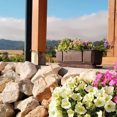 Vakantiehuis Brvnara Lina-marija - Zlatibor *