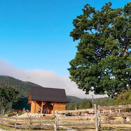 Brvnara Lina-marija - Zlatibor Sainovina