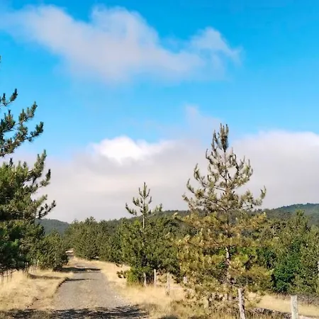 Brvnara Lina-marija - Zlatibor Semesterbostad