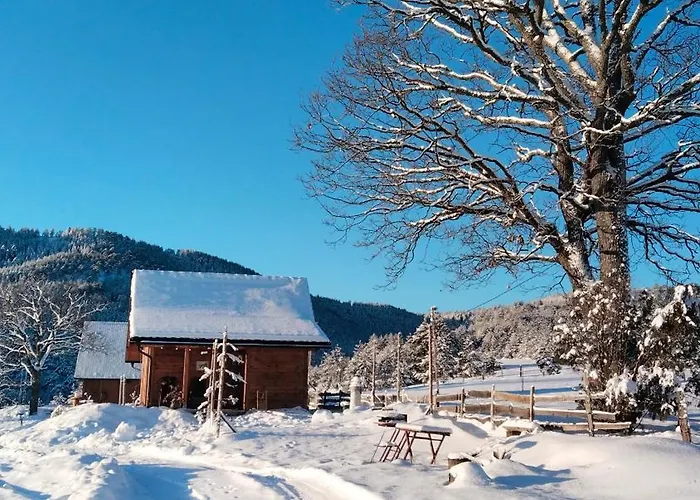 Brvnara Lina-marija - Zlatibor Sainovina