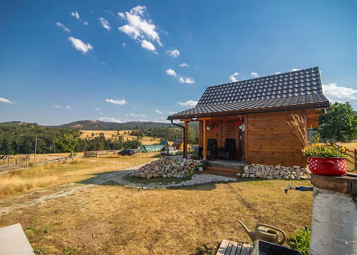 Brvnara Lina-marija - Zlatibor * Sainovina