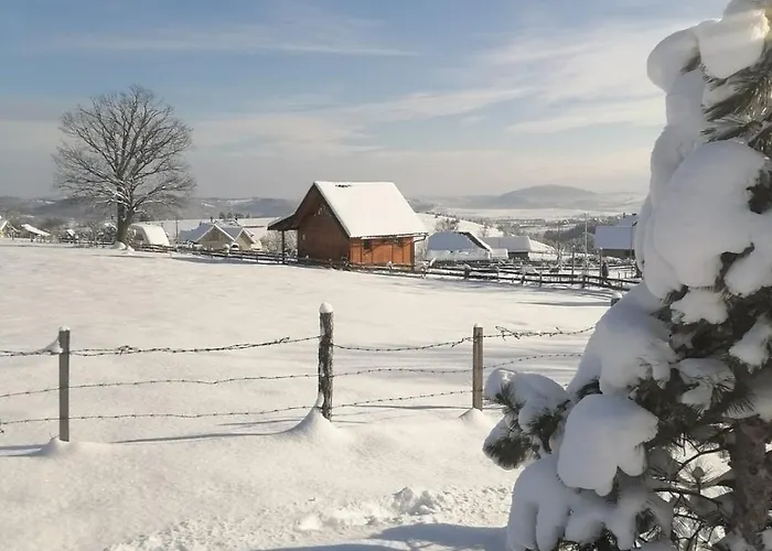 Brvnara Lina-marija - Zlatibor * Sainovina