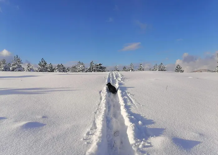 Brvnara Lina-marija - Zlatibor Sainovina