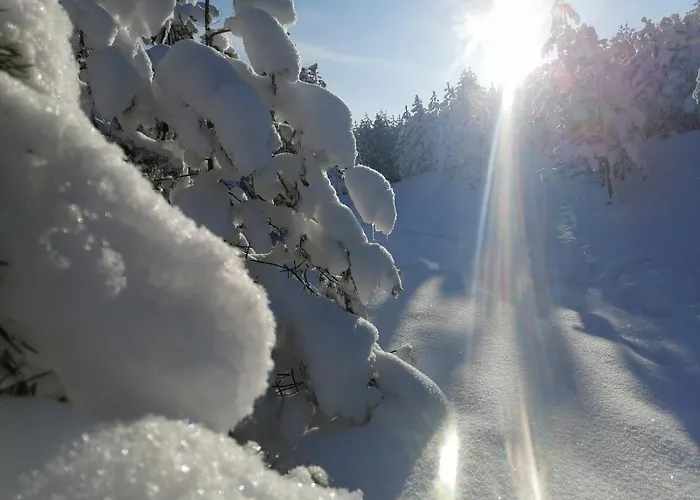 Brvnara Lina-marija - Zlatibor