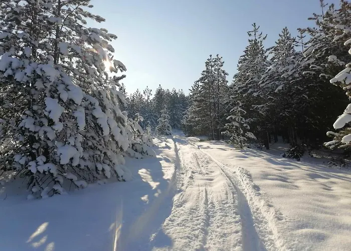 Vikendica Brvnara Lina-marija - Zlatibor Sainovina
