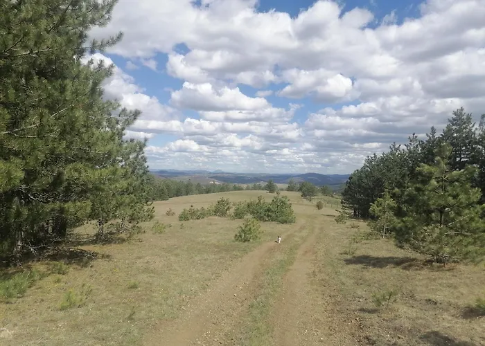 Brvnara Lina-marija - Zlatibor Sainovina