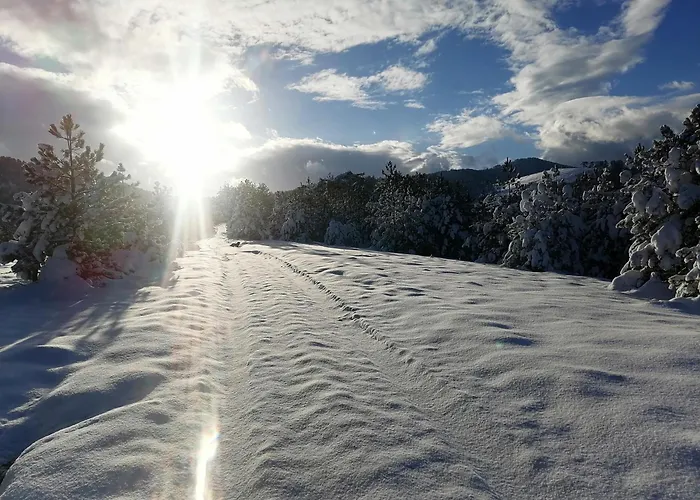 Brvnara Lina-marija - Zlatibor Vikendica Sainovina