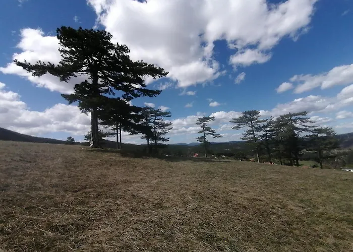 Brvnara Lina-marija - Zlatibor * Sainovina