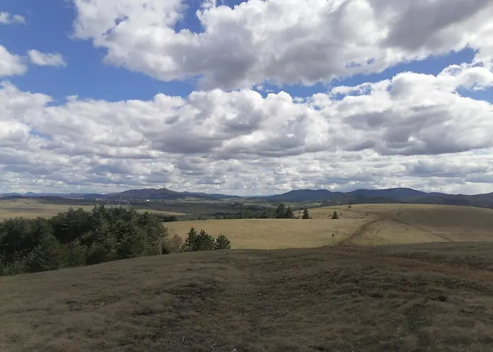 Brvnara Lina-marija - Zlatibor * Sainovina