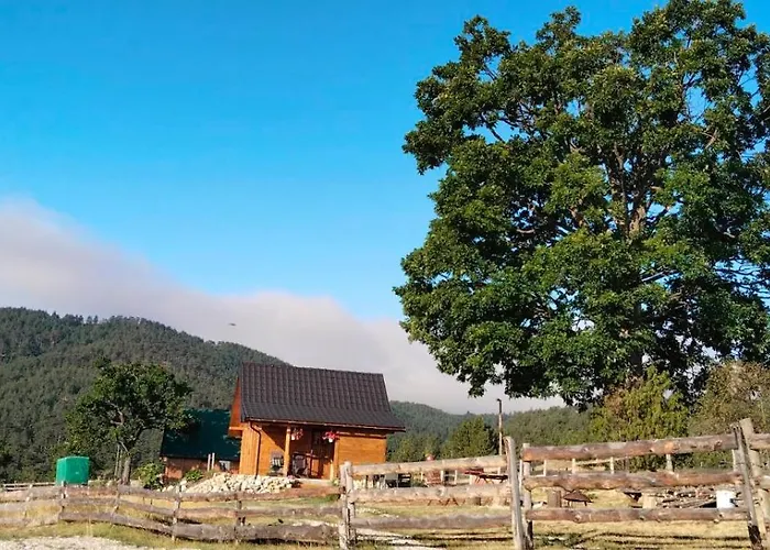 Brvnara Lina-marija - Zlatibor Sainovina