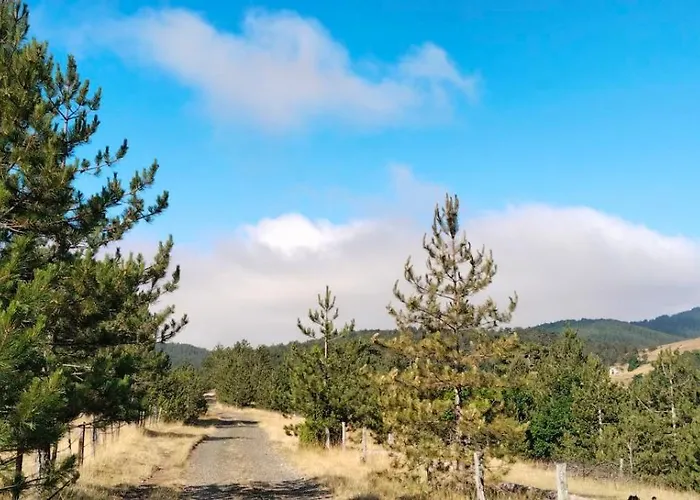Brvnara Lina-marija - Zlatibor Vikendica